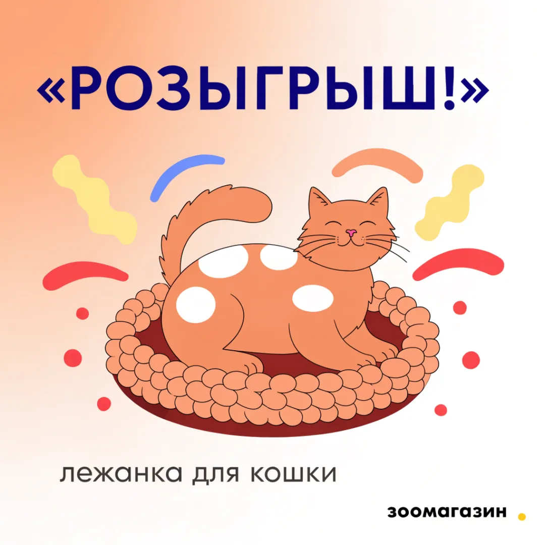 Пост-розыгрыш зоомагазина с кошкой на лежанке